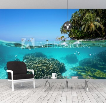 Picture of Over under sea tropical shore and coral underwater